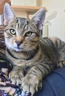 received_10155664612894388